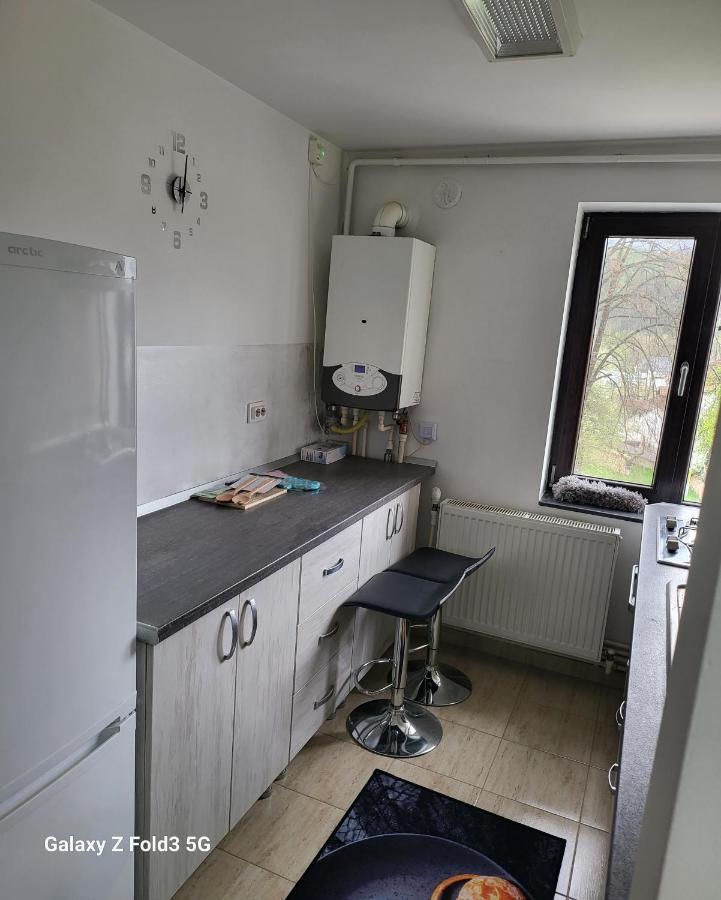 Apartament In Bucovina, Campulung Moldovenesc, Impecabil . Apartment Екстериор снимка